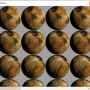 atlas_viewer.png